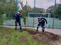 парк «Юность» (1)