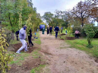 парк «Юность» (2)