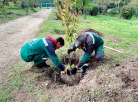 парк «Юность» (3)