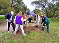 парк «Юность» (4)