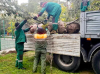 парк «Юность» (5)