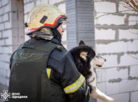 удар по Одессе 17 ноября 2024 (4)