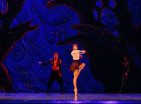 балет «Снежная Королева» (10)