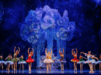 балет «Снежная Королева» (9)