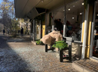 удар по Одессе 25.11.2024-12