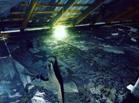 Черноморск 31 января (2)