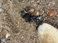 загрязнение