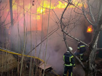 пожар под Одессой 10 февраля (3)
