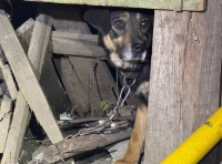 атака по Одессе 16 апреля (1)