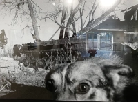 фото: Матье Шазаль (4)