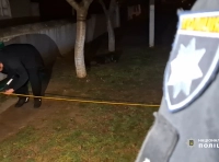 работа полиции