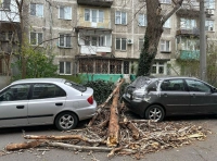 последствия непогоды в Одессе 11 апреля