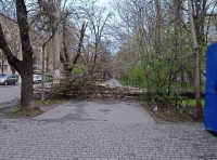 последствия непогоды в Одессе 11 апреля (9)