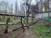 последствия непогоды в Одессе 11 апреля (10)