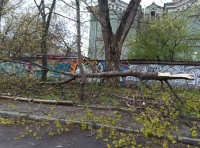 последствия непогоды в Одессе 11 апреля (3)