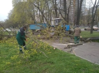 последствия непогоды в Одессе 11 апреля (5)