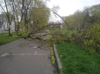 последствия непогоды в Одессе 11 апреля (6)