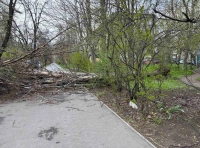 последствия непогоды в Одессе 11 апреля (8)