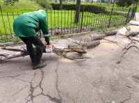 непогода в Одессе