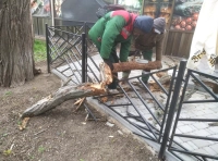 непогода в Одессе (12)