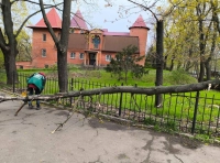 непогода в Одессе (3)