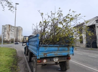 непогода в Одессе (5)