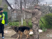 полиция с собакой