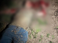 инсуинировка