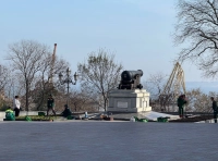 высадка цветов в Одессе (9)