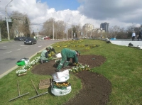 высадка цветов в Одессе (7)