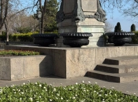 высадка цветов в Одессе (8)