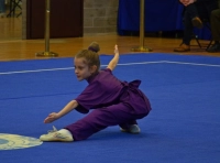 Чемпионат Украины по ушу (1)