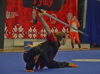 Чемпионат Украины по ушу (3)