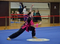 Чемпионат Украины по ушу (4)