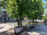 Вакцинация одесских каштанов (2)