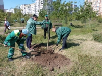 озеленение Одессы