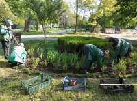 озеленение Одессы (2)