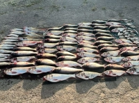 рыбный улов