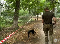 работа кинолога