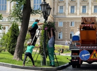 озеленение Одессы (1)