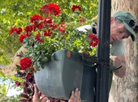 озеленение Одессы (2)