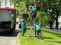 озеленение Одессы (4)