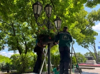 озеленение Одессы (5)