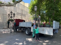 озеленение Одессы (6)