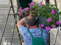 озеленение Одессы (8)