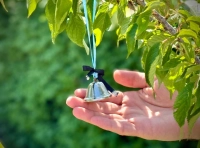 сквер Небесной Сотни 4.06.2025 (5)