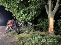 смертельное ДТП под Одессой (3)