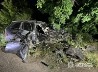 смертельное ДТП под Одессой (4)