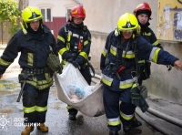 пожар на Мечникова (2)