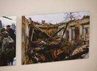 выставка французской художницы Фанни Лешевалье (2)